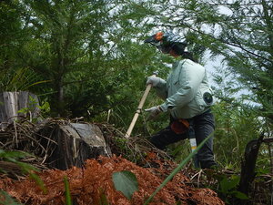 DSCN1671.JPG