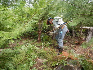 DSCN1673.JPG
