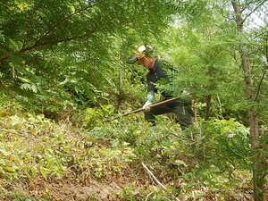 DSCN1680.JPG