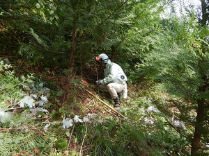 DSCN1686.JPG