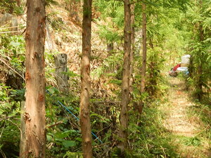 DSCN1698.JPG