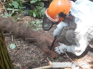 DSCN2061.JPG
