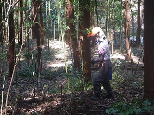 DSCN2068.JPG