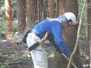DSCN2125.JPG