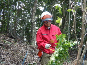 DSCN9376.JPG