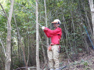 DSCN9377.JPG