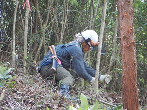 DSCN9396.JPG