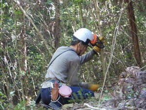 DSCN9416.JPG