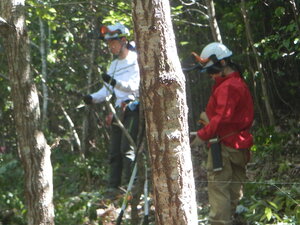 DSCN9499.JPG