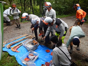 DSCN9529.JPG
