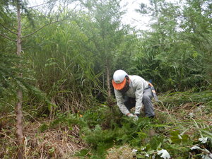 DSCN9550.JPG