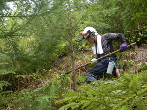 DSCN9551.JPG