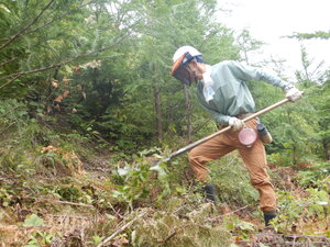 DSCN9579.JPG