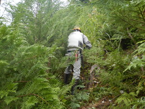DSCN9614.JPG