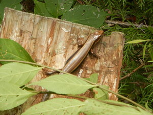 DSCN9637.JPG