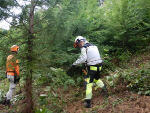 DSCN9659.JPG