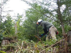 DSCN9687.JPG