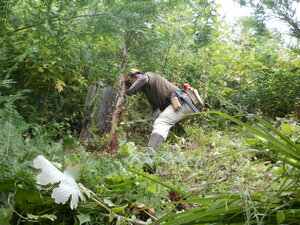 DSCN9723.JPG