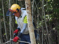 DSCN9794.JPG