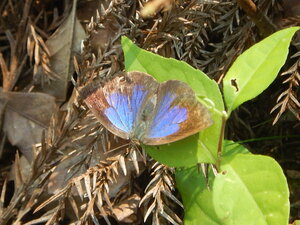 DSCN9832.JPG