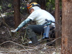 DSCN9886.JPG