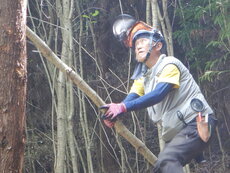 DSCN9907.JPG