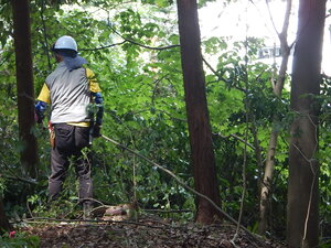 DSCN1416.JPG