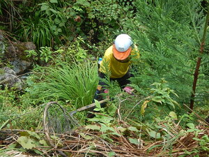 DSCN3166.JPG