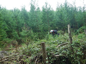 DSCN2836.JPG