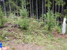 DSCN2987.JPG