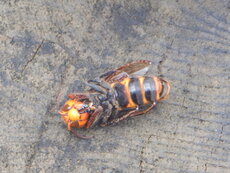 DSCN3007.JPG