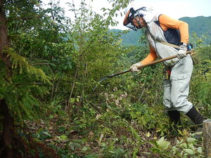 DSCN3420.JPG