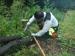 DSCN2996.JPG