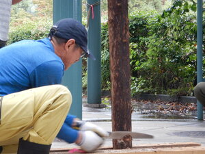 DSCN2681.JPG