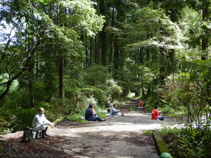 DSCN3430.JPG