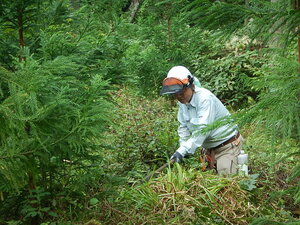 DSCN2826.JPG