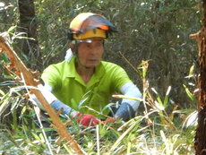 DSCN3114.JPG