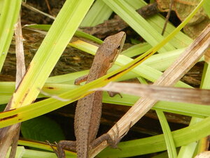 DSCN3427.JPG