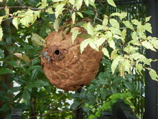 DSCN3274.JPG