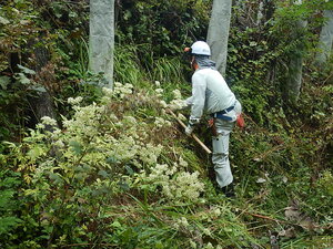 DSCN3174.JPG