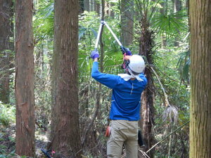 DSCN0612.JPG