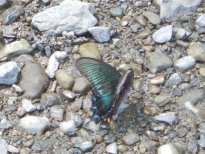DSCN0651.JPG