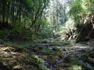 DSCN0664.JPG