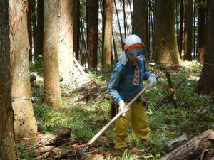 DSCN0670.JPG