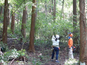 DSCN0725.JPG