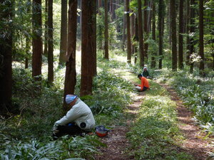 DSCN0735.JPG