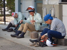 DSCN0908.JPG
