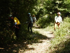 DSCN0915.JPG