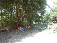 DSCN0929.JPG