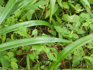 DSCN1836.JPG